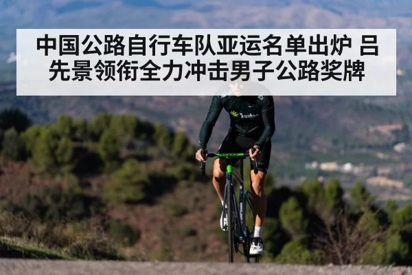 cyclist climbing mountain road race