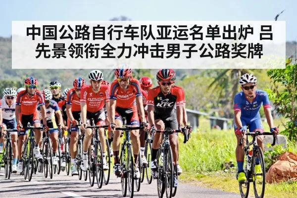 professional cyclists sprint finish